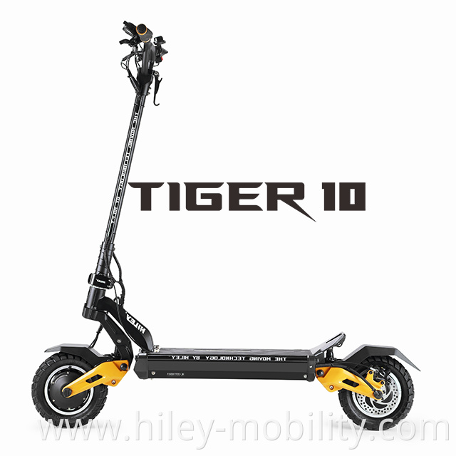 Electric Scooter Adult Off Road